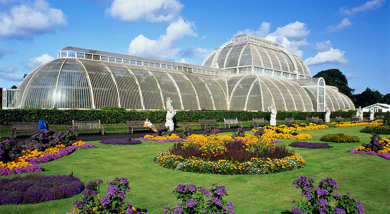 Kew Gardens and Palace with a Free Walking Tour