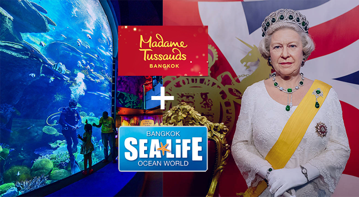 Bangkok: Sea of Reflections + Madame Tussauds Museum Combo Ticket