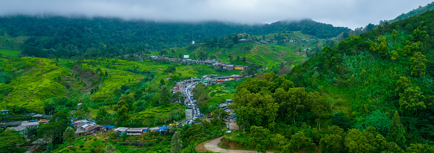 Things to do in Puncak
