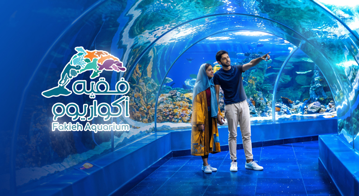 Choose Your Experience Between Fakieh Aquarium Tour & Dolphin Show