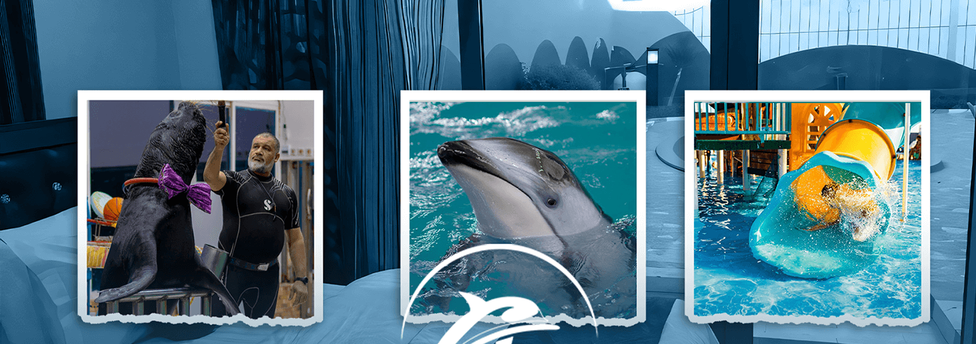 Dolphin Village Dammam