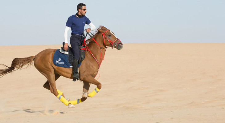 Riyadh: Horse Riding in the Red Sands